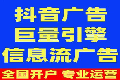 SEM广告案例：数据分析驱动营销决策